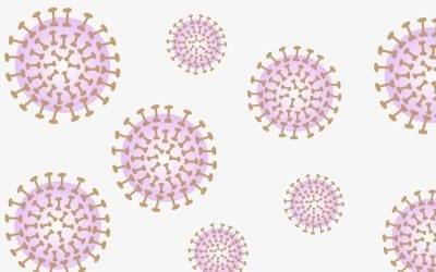 Understanding Herpes (HSV-1 & HSV-2)